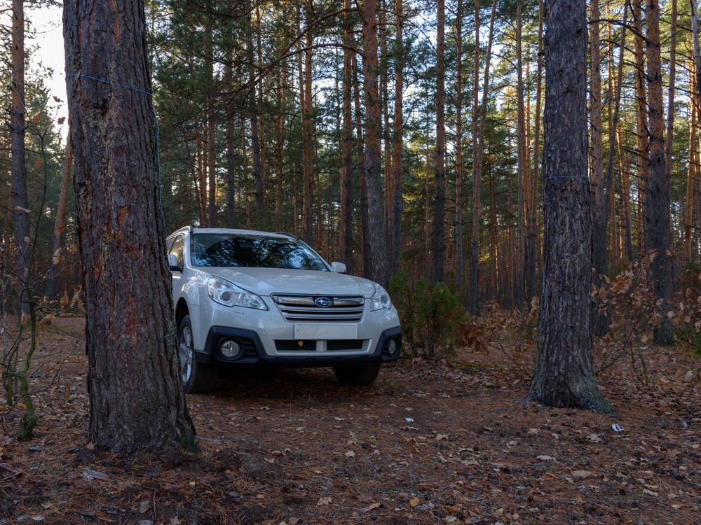 Totul despre Subaru Outback