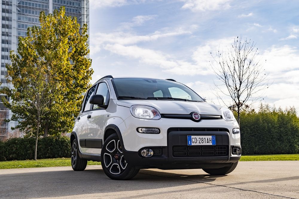 fiat panda