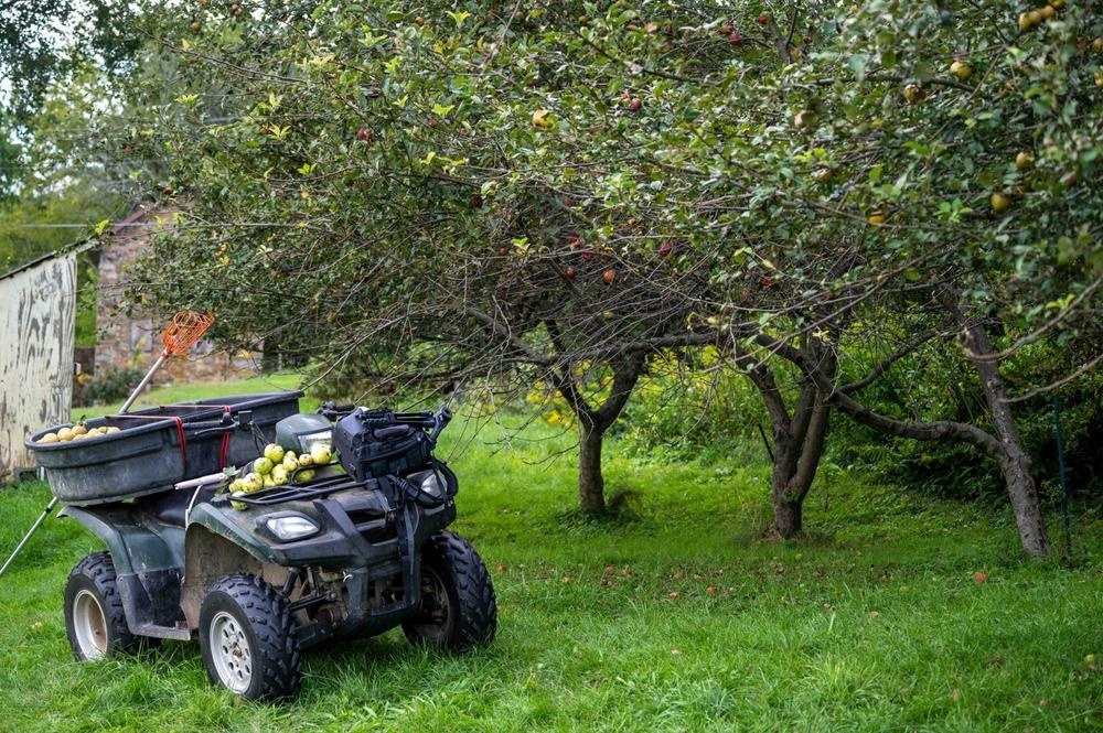 atv utilitar