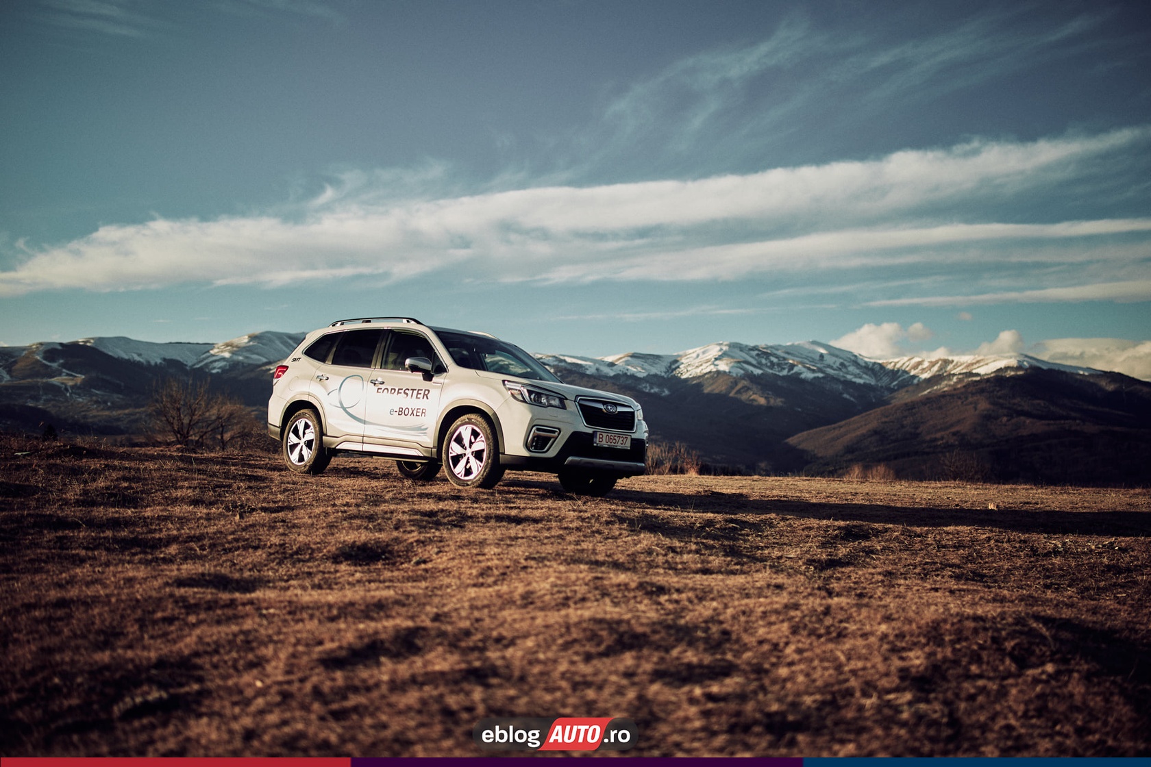 subaru forestier