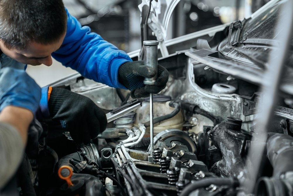 segmentarea motorului