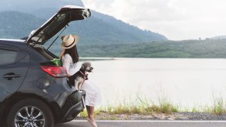 Cele mai bune mașini hatchback: modele mici și compacte care merită banii